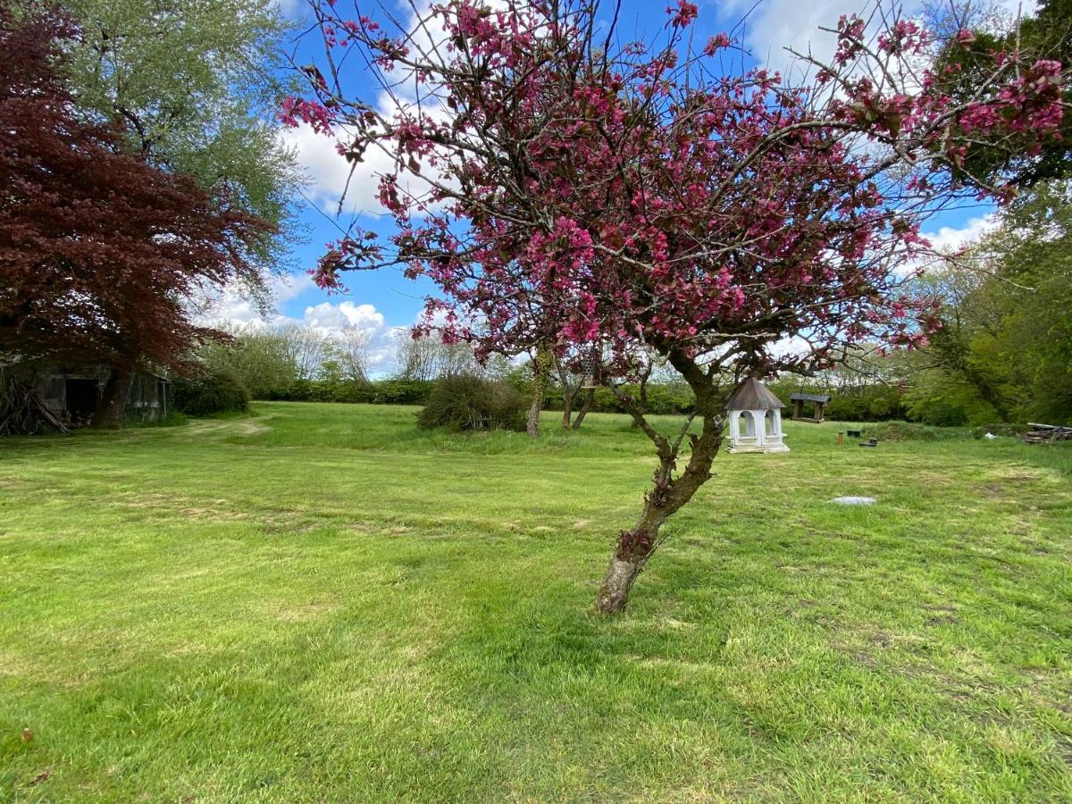 Horseford Lodge B&B South Molton Luaran gambar